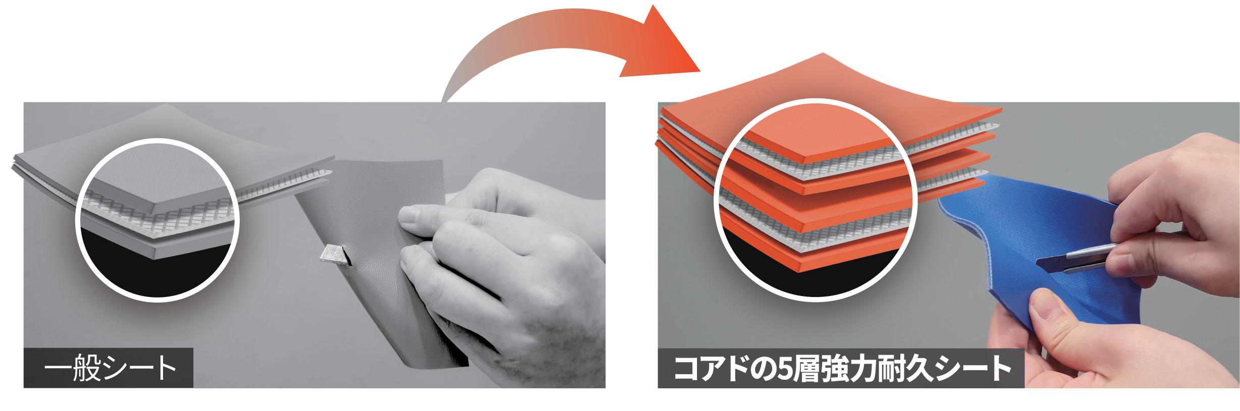 5層強力耐久シート 断面比較